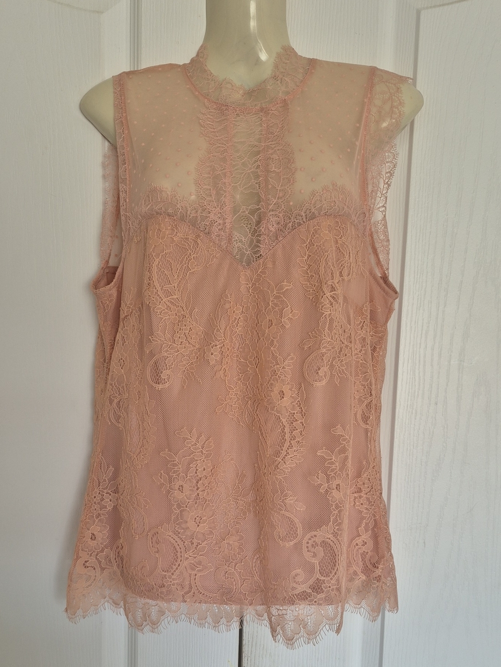 H&M Lace Sheer Sleeveless Chemise Top - Blush